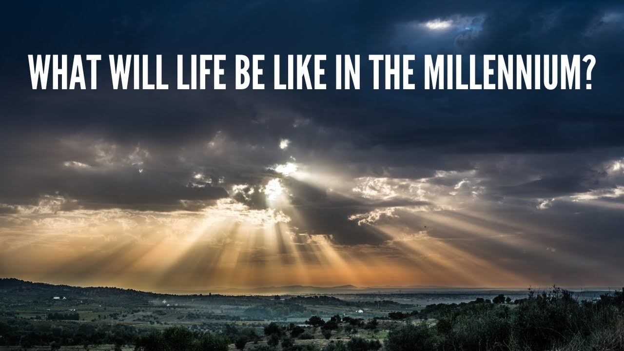 millennial life